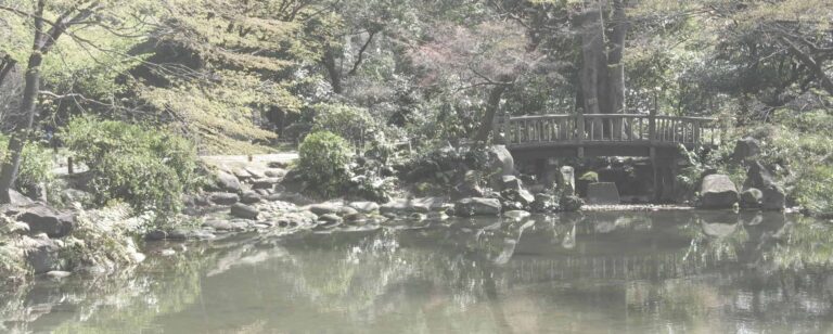 Importance of Leadership Self-Care